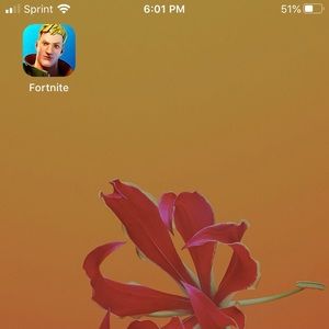 iPhone 7 with fortnite on it